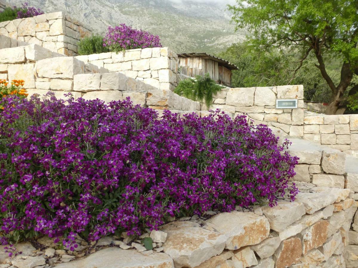 Kuca Za Odmor Viola Villa Živogošće Buitenkant foto